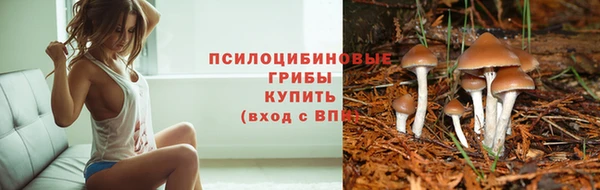 бошки Бронницы