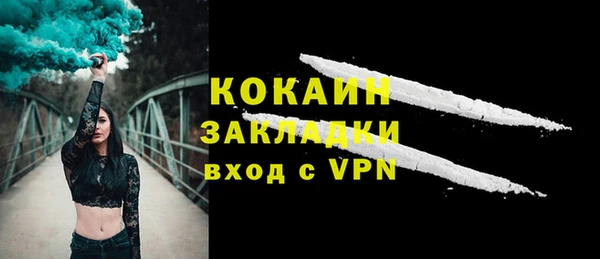 бошки Бронницы