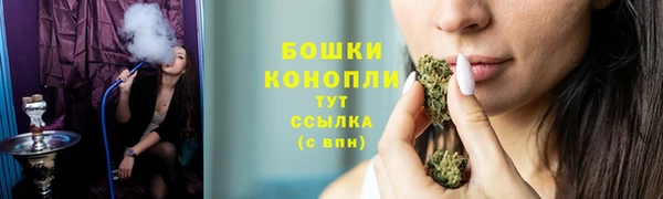 бошки Бронницы