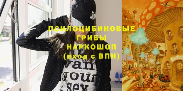 бошки Бронницы