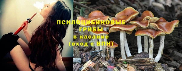 бошки Бронницы