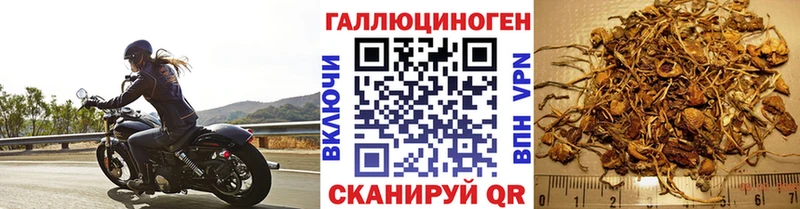 Купить закладки Дятьково Галлюциногенные грибы GOLDEN TEACHER